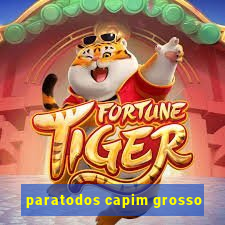 paratodos capim grosso