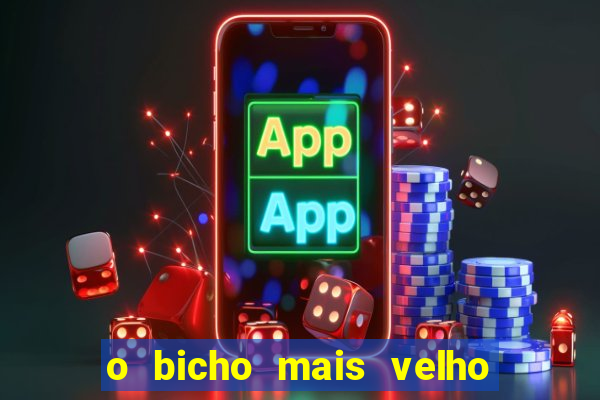 o bicho mais velho da loteria dos sonhos