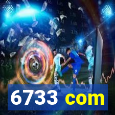 6733 com