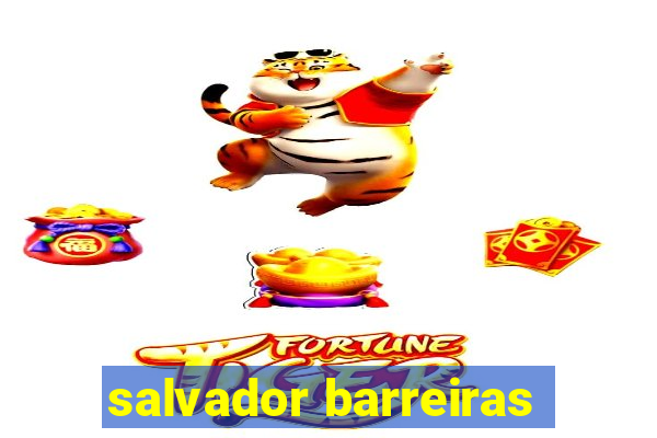 salvador barreiras