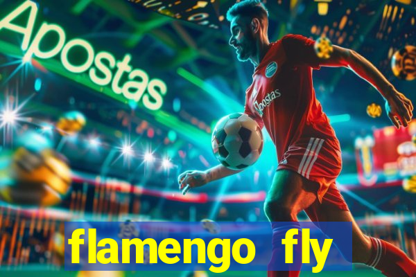 flamengo fly emirates ultimas noticias