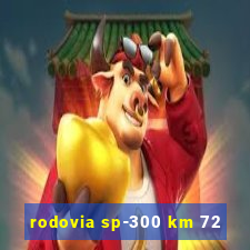 rodovia sp-300 km 72