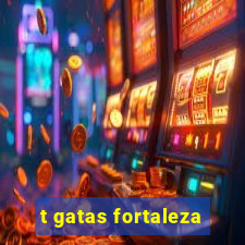 t gatas fortaleza